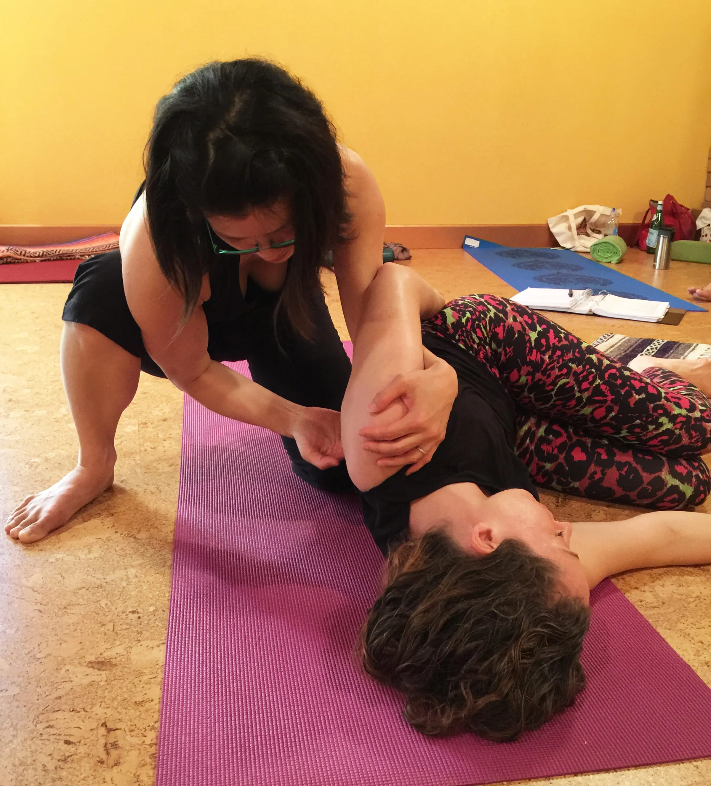 Cat giving a hands-on assist during a teacher training