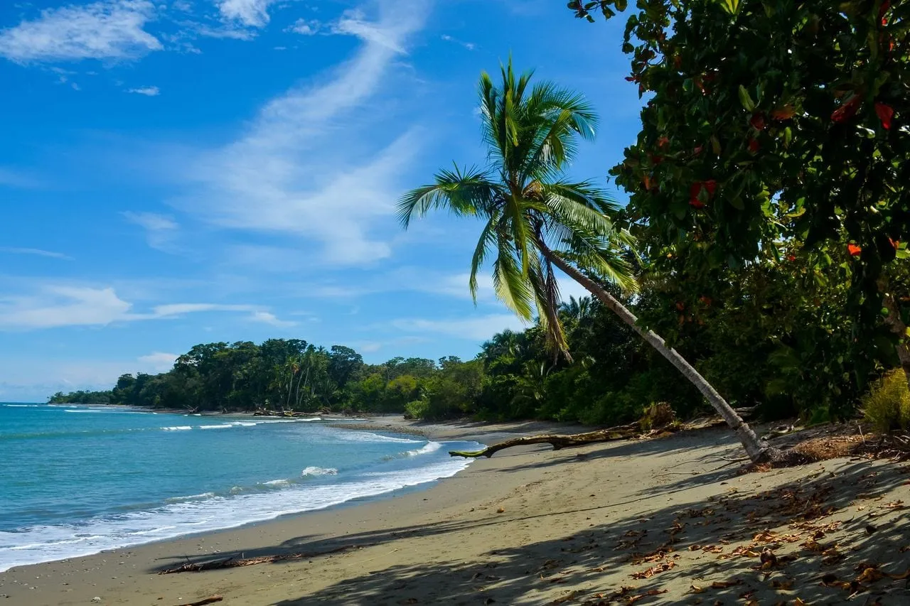 The beach at Blue Osa on Costa Rica's Osa Peninsula